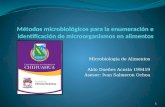 Métodos microbiológicos para la enumeración e identificación de microorganismos en alimentos