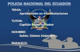TEMA:  Aprehensión en Manifestaciones TUTOR:  Capitán Roberto Pastor  NOMBRE: