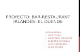 Proyecto: bar-restaurant  irlandés - El  duende