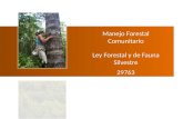 Manejo Forestal Comunitario Ley Forestal y de Fauna  S ilvestre 29763 Javier Martínez DAR
