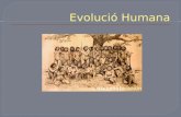 Evolució  Humana