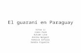 El guaraní  en Paraguay
