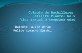 Colegio de Bachilleres  Satélite Plantel No.5 Vida sexual a temprana edad
