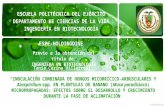 ESCUELA POLITÉCNICA DEL EJÉRCITO DEPARTAMENTO DE CIENCIAS DE LA VIDA INGENIERÍA EN BIOTECNOLOGÍA