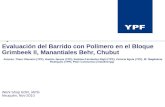 Evaluación del Barrido con Polímero en el Bloque Grimbeek II, Manantiales Behr, Chubut