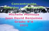 Concentración Sentidos y observación Michelle Montoya Juan David Benjumea Grado: 9°A 2011