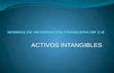 NORMAS DE INFORMACIÓN FINANCIERA NIF C-8