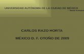 UNIVERSIDAD AUTÓNOMA DE LA CIUDAD DE MÉXICO