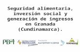 Seguridad alimentaria, inversión social y generación de ingresos en Granada (Cundinamarca).