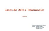 Bases  de Datos Relacionales