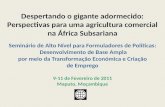 Despertando o gigante adormecido: Perspectivas para uma agricultura comercial na África Subsariana
