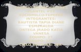 COLEGIO DE BACHILLERES PLANTEL #13 XOCHIMILCO-TEPEPAN INTEGRANTES: BAUTISTA TAPIA DIANE ESMERALDA