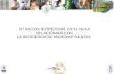 SITUACION NUTRICIONAL EN EL HUILA RELACIONADA CON LA DEFICIENCIA DE MICRONUTRIENTES