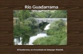 Río Guadarrama