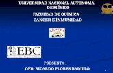 UNIVERSIDAD NACIONAL AUTÓNOMA DE MÉXICO FACULTAD DE QUÍMICA