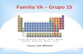 Familia VA – Grupo 15