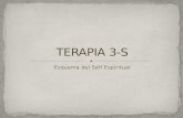 TERAPIA 3-S