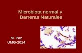 Microbiota normal y  Barreras Naturales