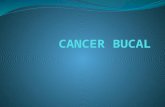 CANCER BUCAL