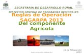 SECRETARIA DE DESARROLLO RURAL DIRECCIÓN GENERAL DE PROGRAMAS REGIONALES