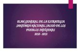 PLAN GENERAL DE LA ESTRATEGIA SANITARIA NACIONAL  SALUD  DE LOS PUEBLOS INDÍGENAS  2010 - 2012