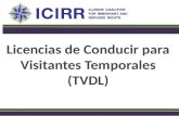 Licencias de Conducir para Visitantes Temporales (TVDL)