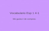 Vocabulario Esp 1 4-1