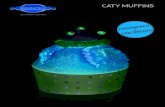 Caty Muffins