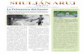 Shuljan Aruj - Primavera 11