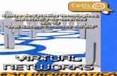 Revista de Administracion de Redes "Virtual Networks" 6AM Informatica