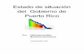 Situaciondel gobierno2 pdf