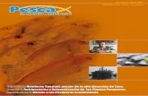 Edicion 23 de la Revista de Pesca del Grupo Editorial Ambientalista (GEA-PERÚ)