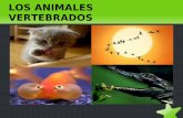 Los animales vertebrados Alba
