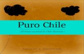 Puro Chile, el himno nacional de Chile ilustrado
