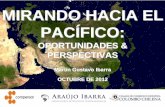 Mirando Hacia El Pacífico: Oportunidades & Perspectivas