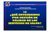 GESTION DE LA CALIDAD EN SERVICIOS DE SALUD