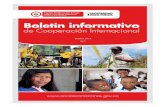 Boletín informativo de Cooperación Internacional