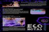 Eco Notas n. 28