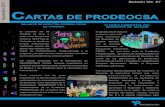 Boletín de Prensa Noviembre 2010 -PRODEOCSA