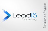 Lead IS Consulting