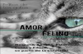 Revista Amor Felino