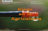 Riego carlos t 2006 138 33