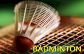 Iniciación al badminton