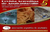 Revista Argentina de Anatomia Online 2014; 5(1):1-44.