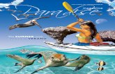 Paradise Magazine Baja Sur 3