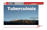 Presentacion Plan Estrategico Multiscetorial Tuberculosis