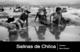 Salinas de Chilca # 1