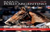 Raza Polo Argentino N°2