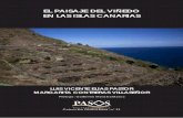 El paisaje del viñedo en las Islas Canarias