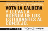 Boletín LA CALDERA-Consejo Superior
